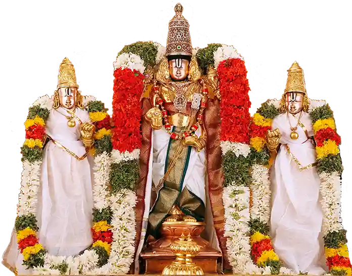 One day Tirupati tour